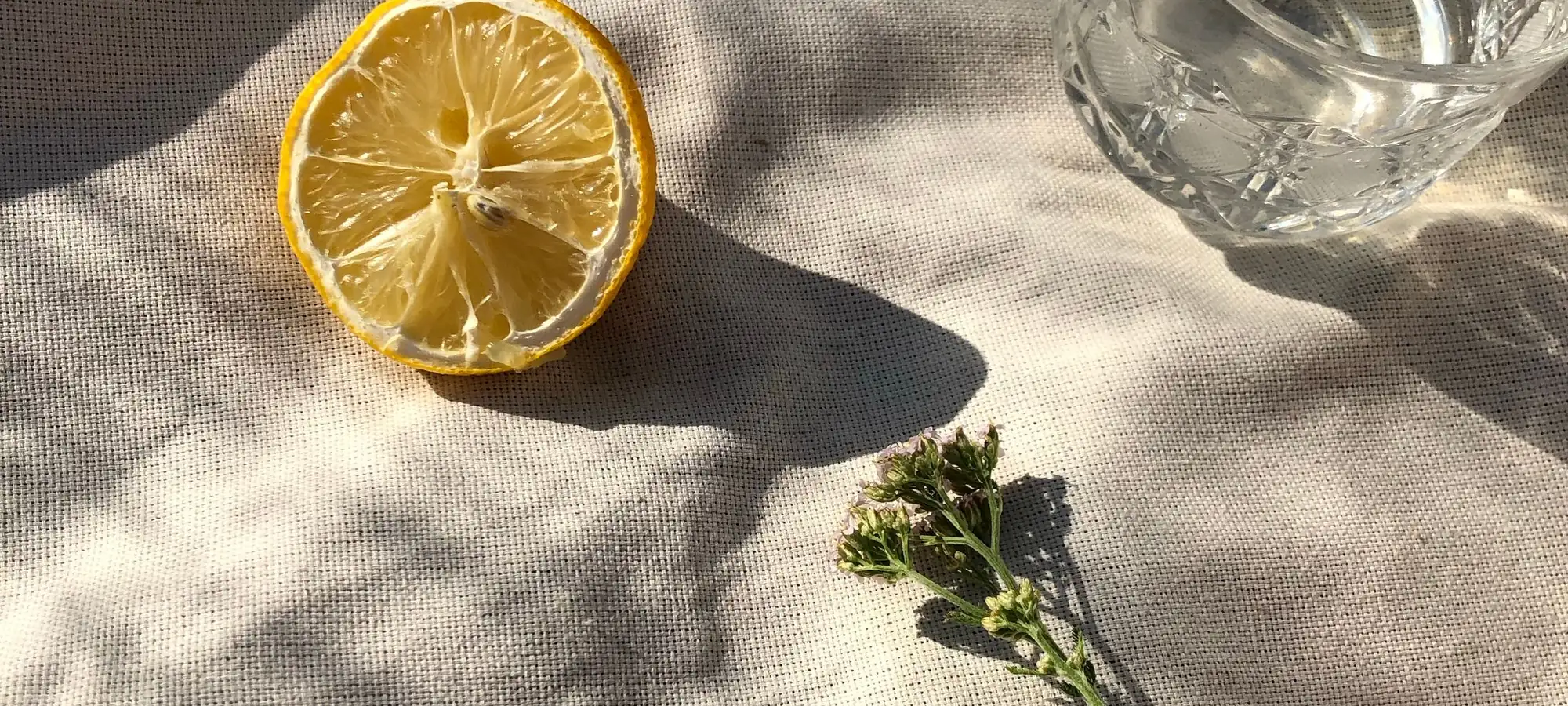 Keten örtü üzerinde yarım limon, bir bardak su ve kır çiçeği